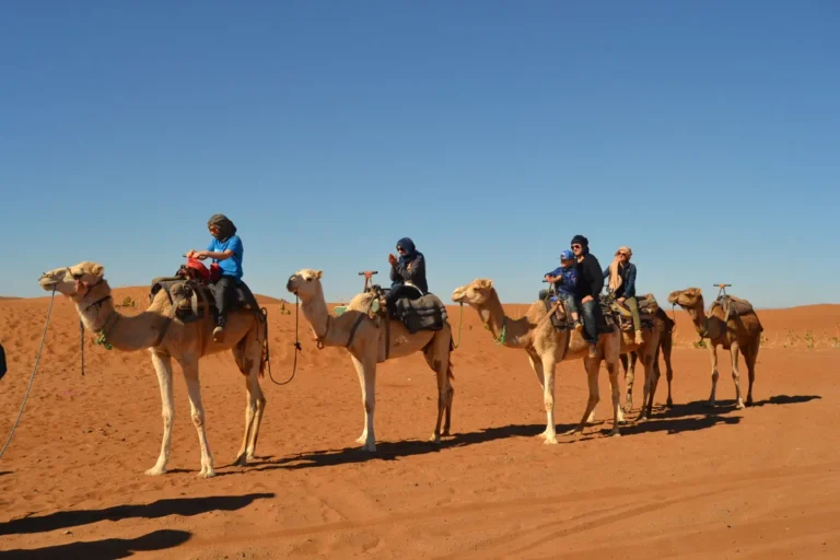 Ouarzazate desert tours