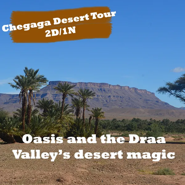 Chegaga Desert Tour from Ouarzazate