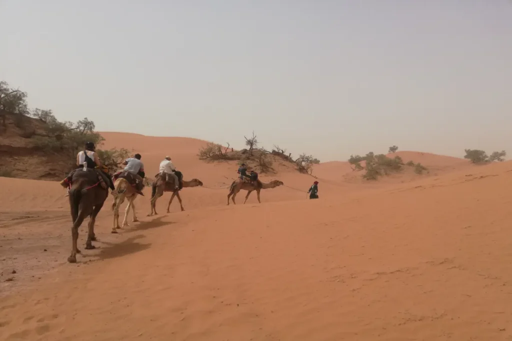 Desert Tour from Ouarzazate to chegaga via dades valley