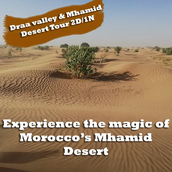 2 Days Tour from Ouarzazate to Mhamid Desert